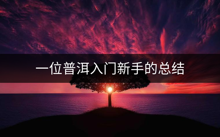 一位普洱入門(mén)新手的總結(jié) 一位普洱入門(mén)新手的總結(jié)