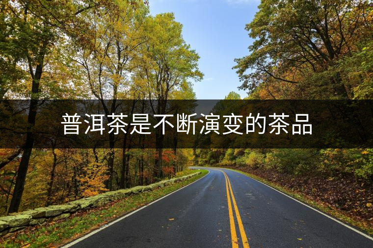 普洱茶是不斷演變的茶品 普洱茶是不斷演變的茶品
