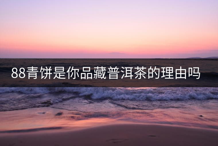88青餅是你品藏普洱茶的理由嗎？
