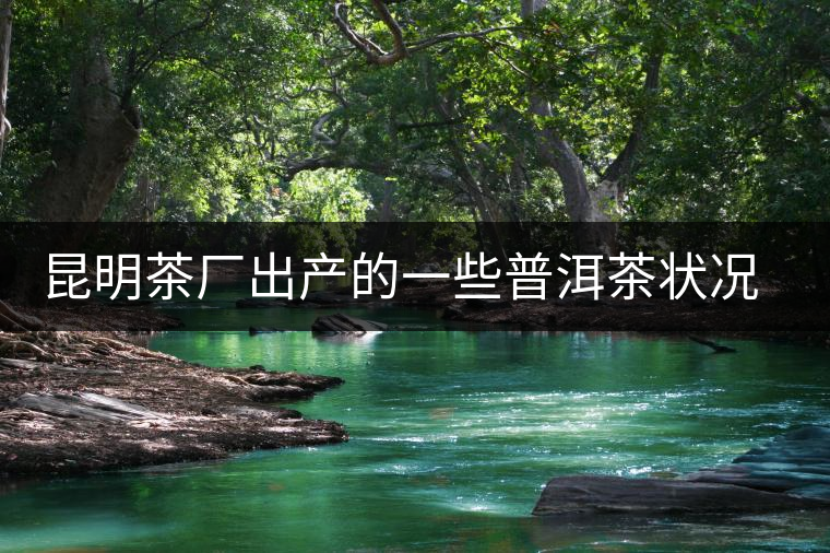 昆明茶廠出產(chǎn)的一些普洱茶狀況是怎樣？