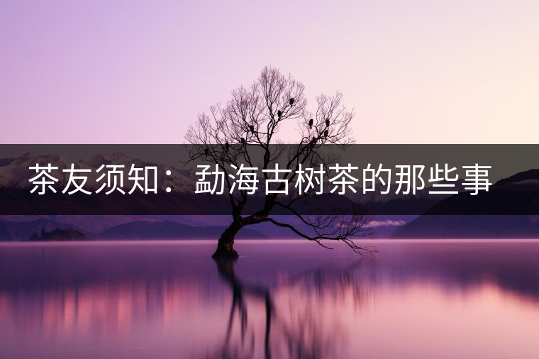 茶友須知：勐海古樹茶的那些事兒