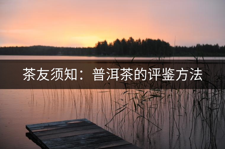茶友須知:普洱茶的評鑒方法 茶友須知:普洱茶的評鑒方法