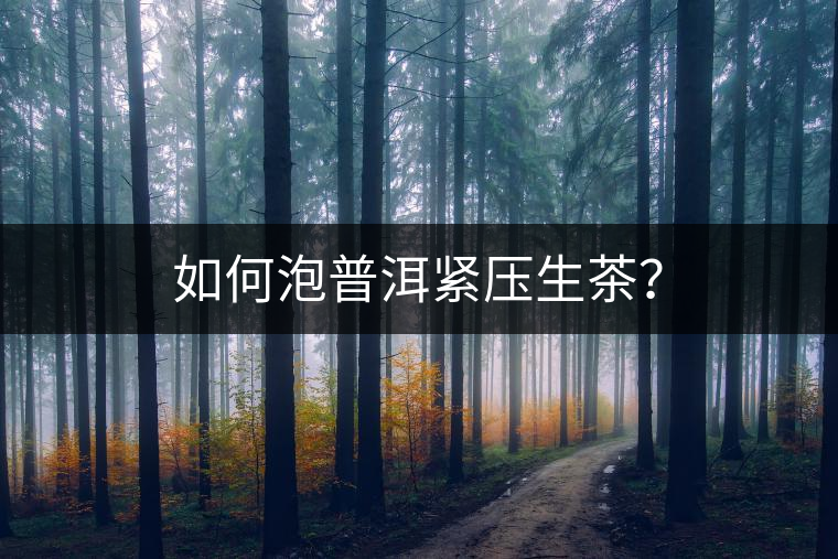 如何泡普洱緊壓生茶？