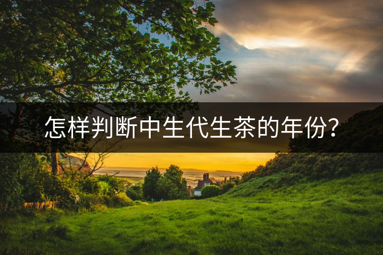 怎樣判斷中生代生茶的年份？