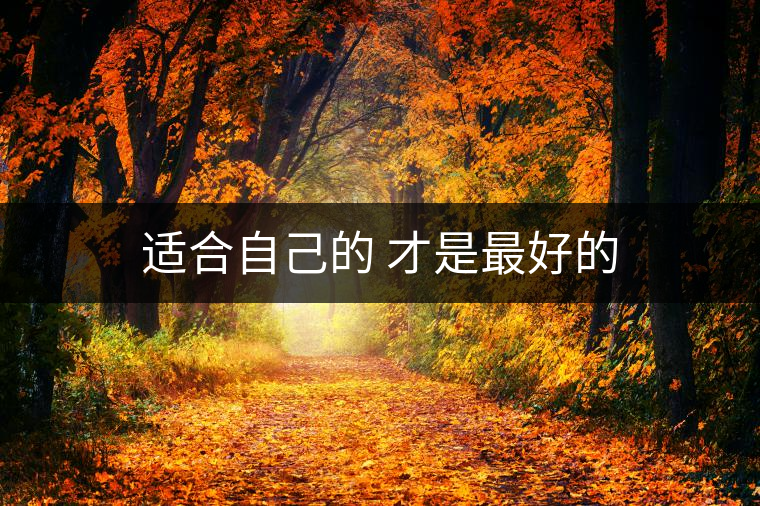 適合自己的 才是最好的 適合自己的 才是最好的