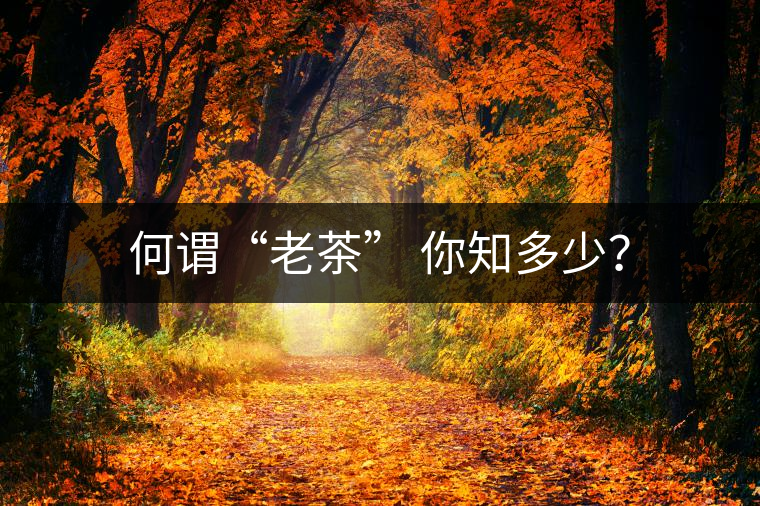 何謂“老茶” 你知多少？