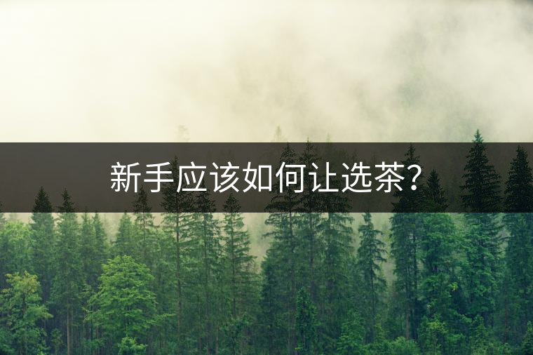 新手應(yīng)該如何讓選茶？