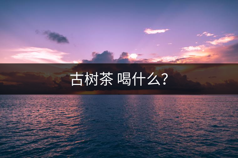 古樹茶 喝什么？