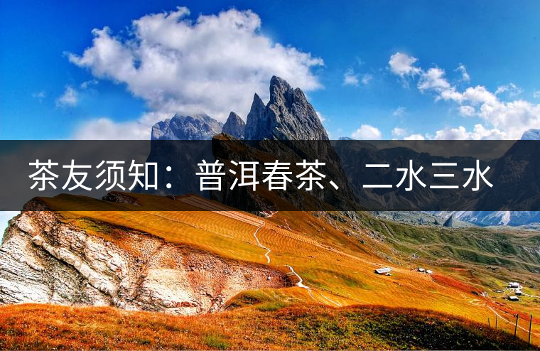茶友須知：普洱春茶、二水三水茶和谷花茶