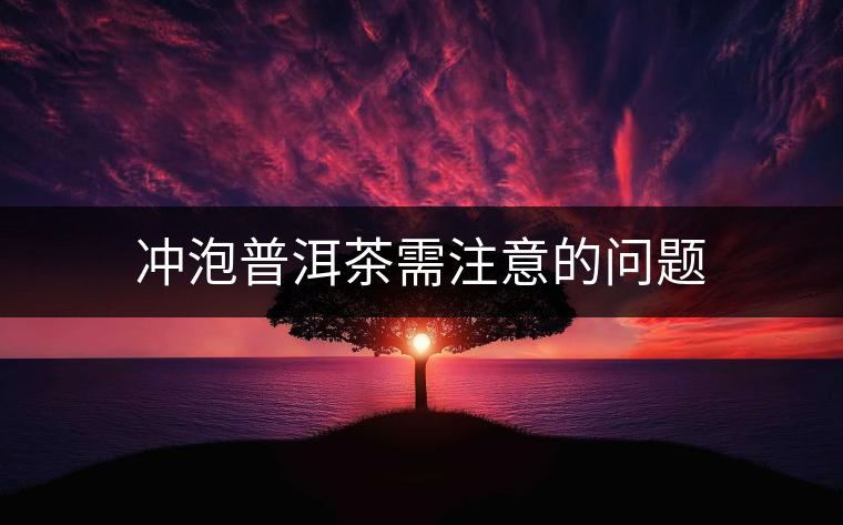沖泡普洱茶需注意的問(wèn)題 沖泡普洱茶需注意的問(wèn)題