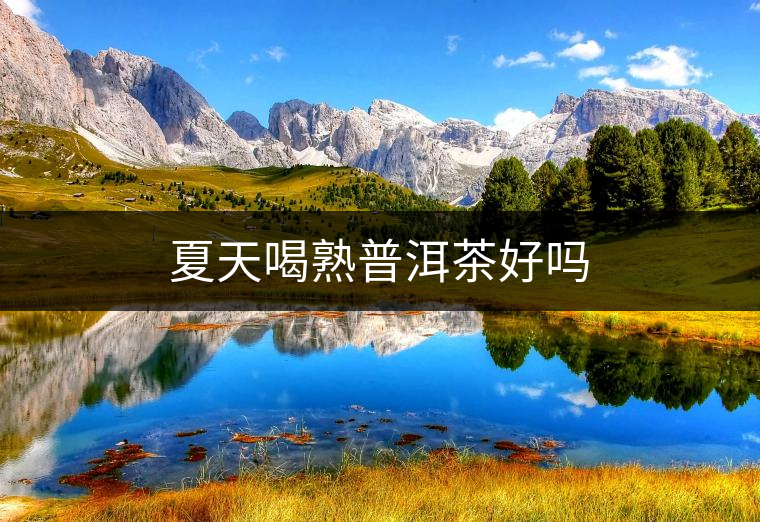 夏天喝熟普洱茶好嗎 夏天喝熟普洱茶好嗎