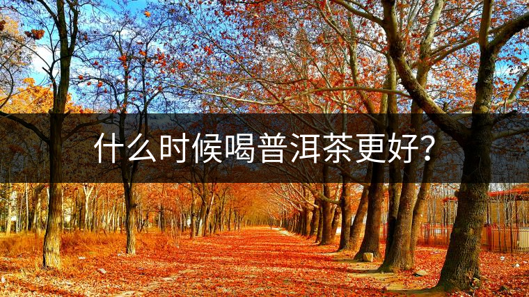什么時(shí)候喝普洱茶更好？