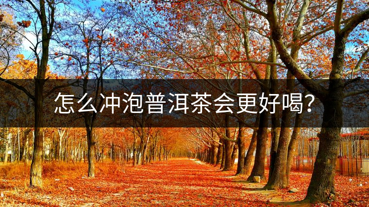 怎么沖泡普洱茶會(huì)更好喝? 怎么沖泡普洱茶會(huì)更好喝?