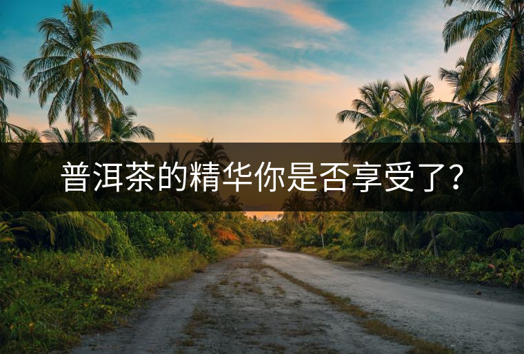 普洱茶的精華你是否享受了？