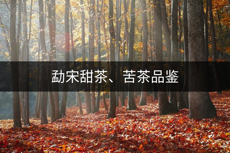 勐宋甜茶、苦茶品鑒