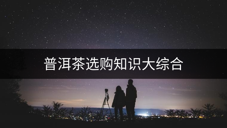 普洱茶選購知識大綜合 普洱茶選購知識大綜合