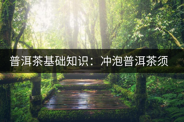 普洱茶基礎(chǔ)知識：沖泡普洱茶須知