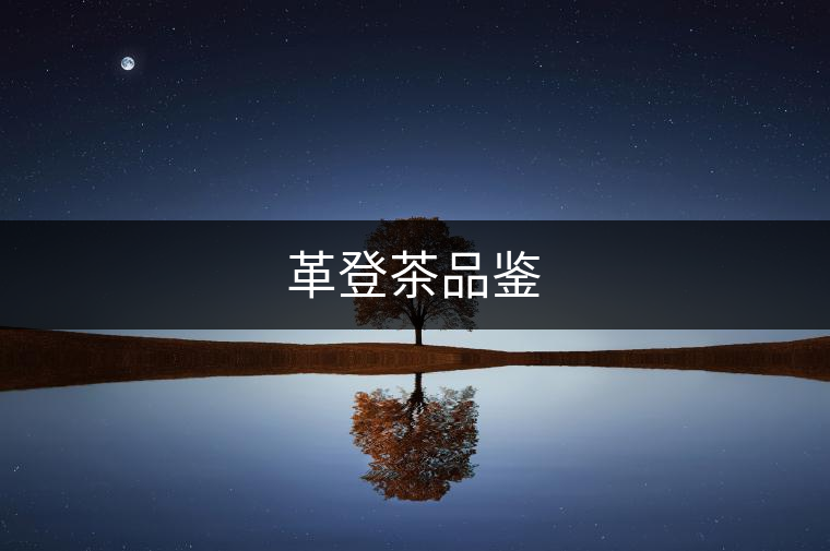 革登茶品鑒
