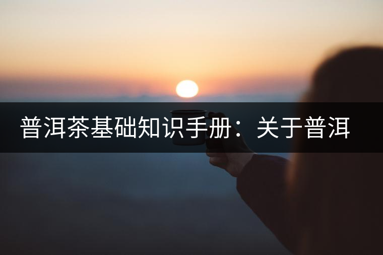 普洱茶基礎(chǔ)知識(shí)手冊(cè):關(guān)于普洱茶的“六辨” 普洱茶基礎(chǔ)知識(shí)手冊(cè):關(guān)于普洱茶的“六辨”