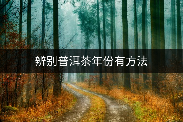 辨別普洱茶年份有方法 辨別普洱茶年份有方法