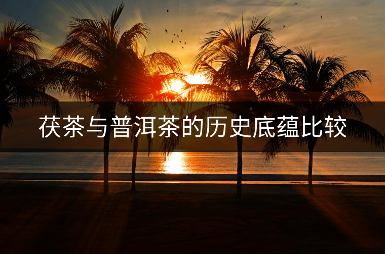 茯茶與普洱茶的歷史底蘊(yùn)比較 茯茶與普洱茶的歷史底蘊(yùn)比較