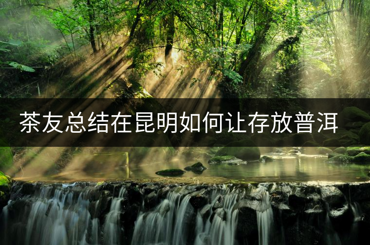 茶友總結(jié)在昆明如何讓存放普洱茶 茶友總結(jié)在昆明如何讓存放普洱茶