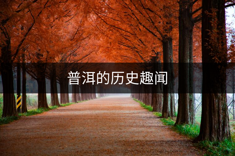 普洱的歷史趣聞