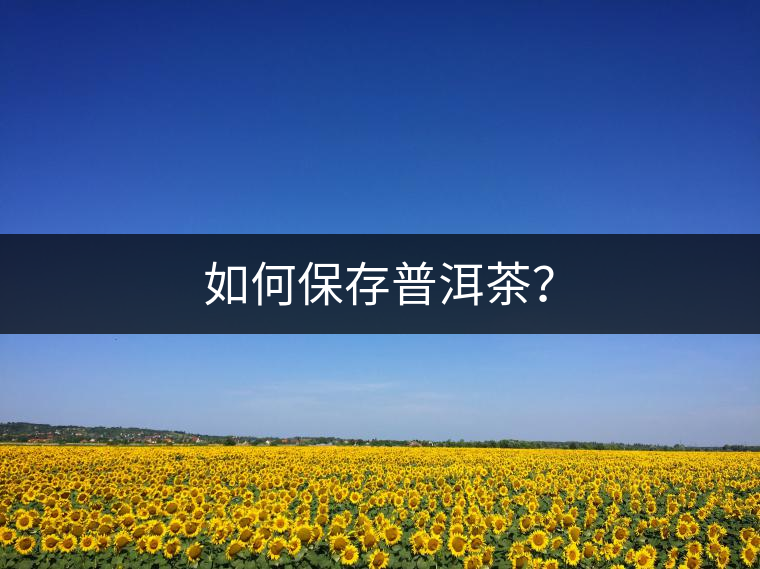 如何保存普洱茶？