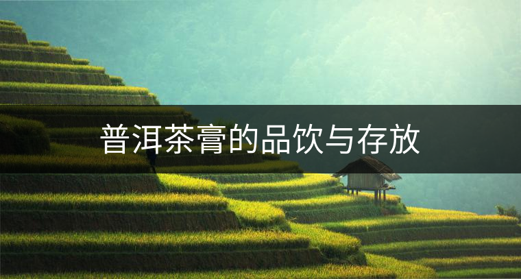 普洱茶膏的品飲與存放 普洱茶膏的品飲與存放