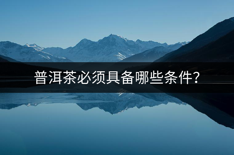 普洱茶必須具備哪些條件？