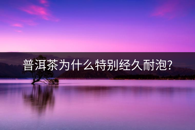 普洱茶為什么特別經久耐泡?