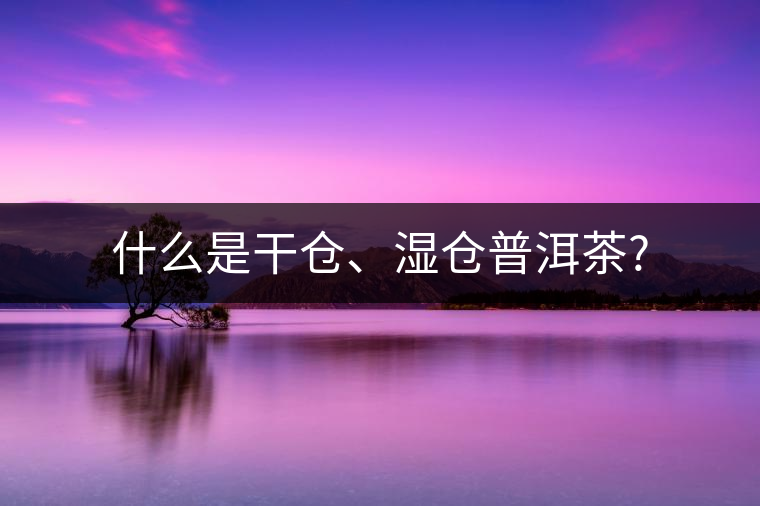 什么是干倉、濕倉普洱茶?