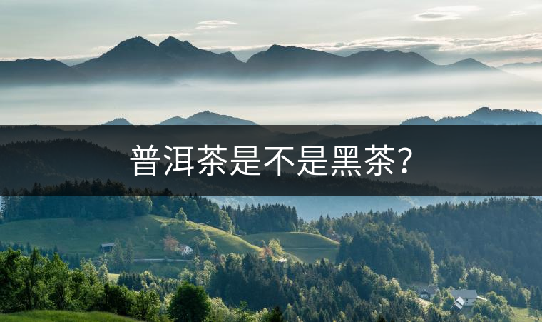 普洱茶是不是黑茶？