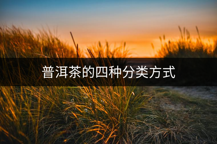 普洱茶的四種分類(lèi)方式