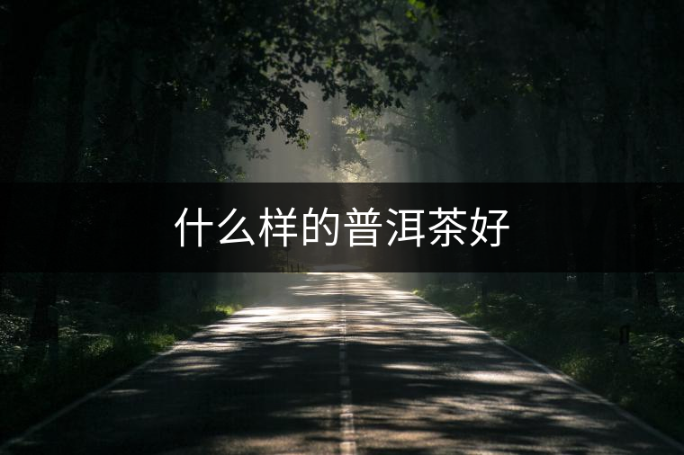 什么樣的普洱茶好 什么樣的普洱茶好