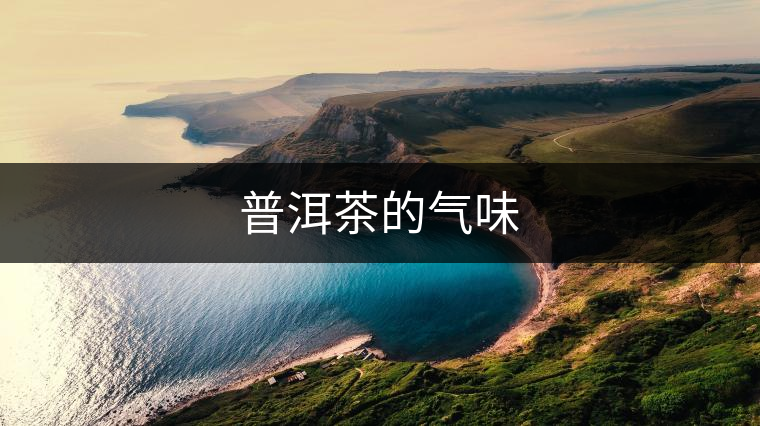 普洱茶的氣味 普洱茶的氣味