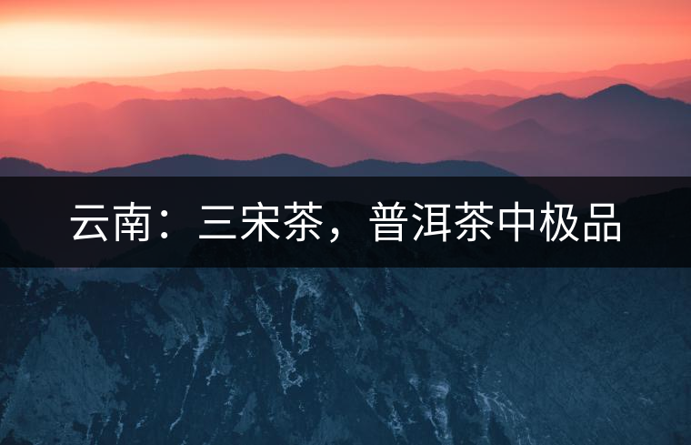 云南：三宋茶，普洱茶中極品