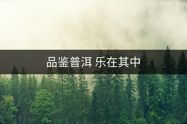 品鑒普洱 樂(lè)在其中 品鑒普洱 樂(lè)在其中