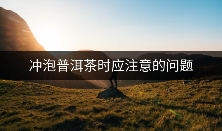 沖泡普洱茶時應注意的問題 沖泡普洱茶時應注意的問題