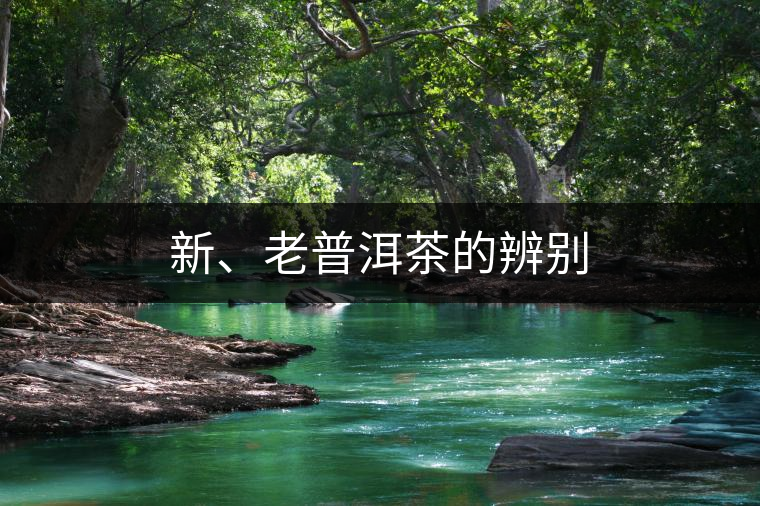 新、老普洱茶的辨別