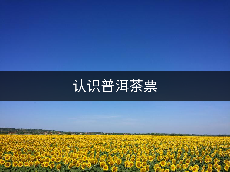 認識普洱茶票