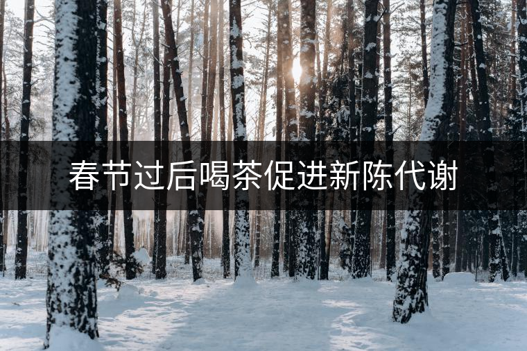 春節(jié)過后喝茶促進新陳代謝 春節(jié)過后喝茶促進新陳代謝