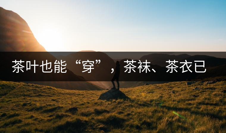 茶葉也能“穿”，茶襪、茶衣已進入研發(fā)階段