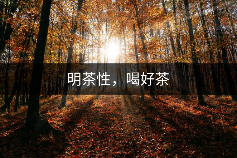 明茶性，喝好茶
