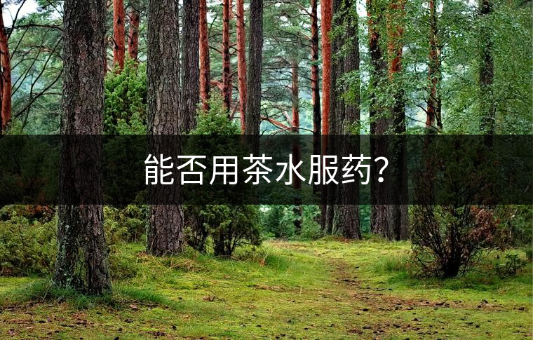能否用茶水服藥？