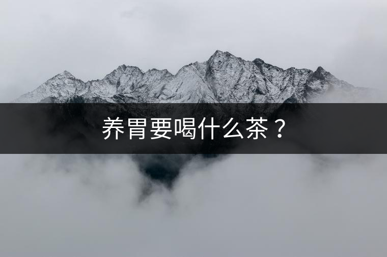 養(yǎng)胃要喝什么茶 ？