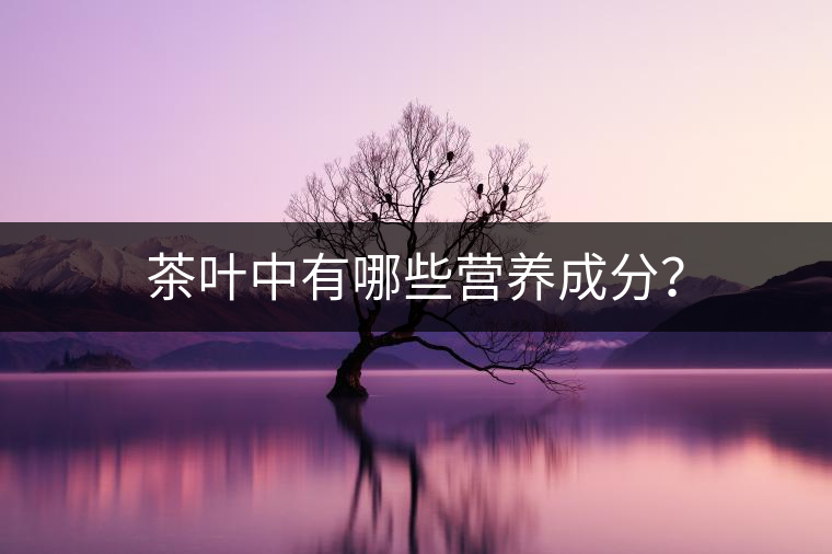 茶葉中有哪些營(yíng)養(yǎng)成分？