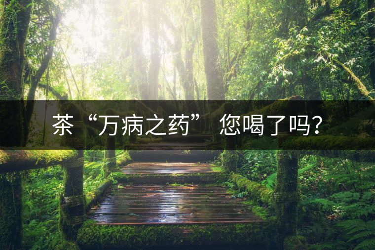 茶“萬病之藥” 您喝了嗎？