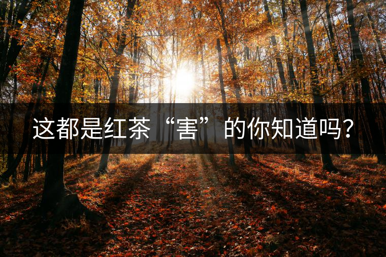 這都是紅茶“害”的你知道嗎？