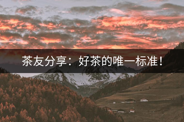 茶友分享：好茶的唯一標準！